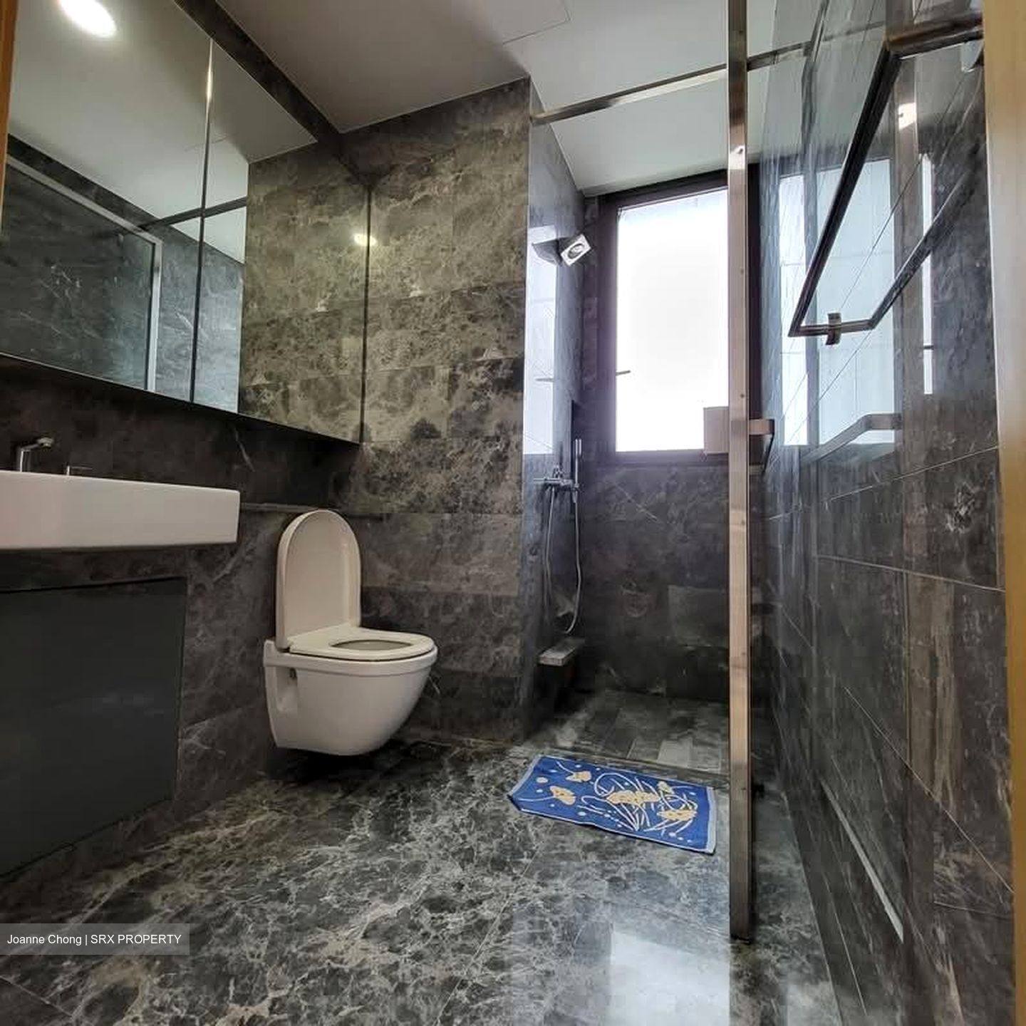 Skyline Residences (D4), Condominium #577938161